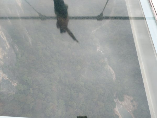 2025/11/11日張家界大峽谷2941002