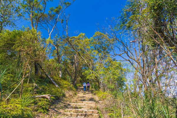 [台北]大崙頭山、碧山巖、忠勇山2746156