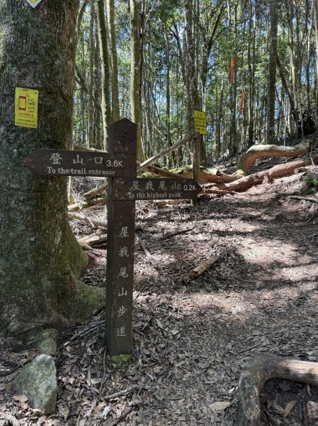 屋東縱走 202503012728989
