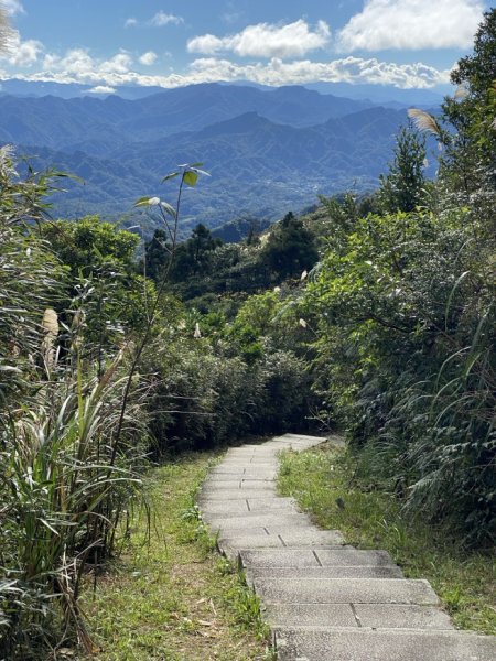 2023/12/14 碇內尖山 龍門山 五分山 淡蘭古道中路2399824