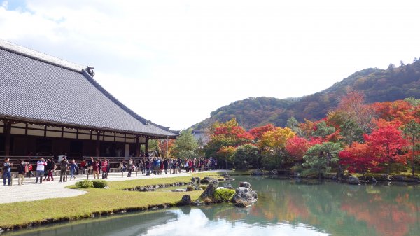 日本京都嵐山652028