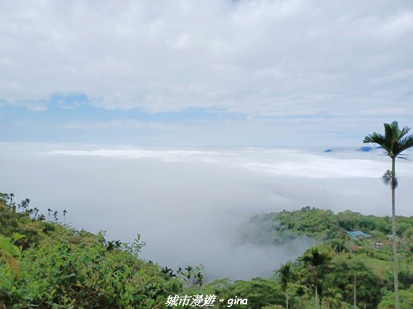 【台南。 楠西】滿滿的雲海太驚豔。 小百岳集起來。 編號67小百岳~竹子尖山步道1605905