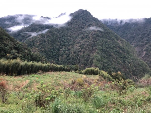 霞喀羅古道 布奴加里山 501908