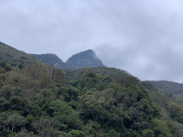【中級山】明知山沒虎，偏向虎山行2441970