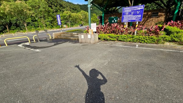 20230717月眉坑瀑布步道.卯澳.雙柑公路2224774