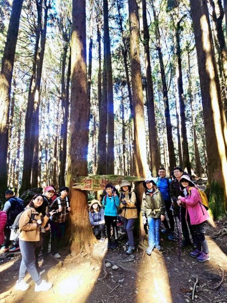 1141122特富野古道2945761