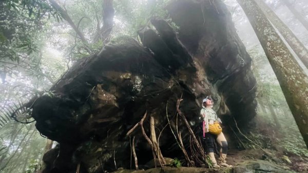 🌈8/30（日）光高天山+向天湖山（小百岳）~南庄老街FB：熊熊趴爬走(富裕登山社)🌈3113951