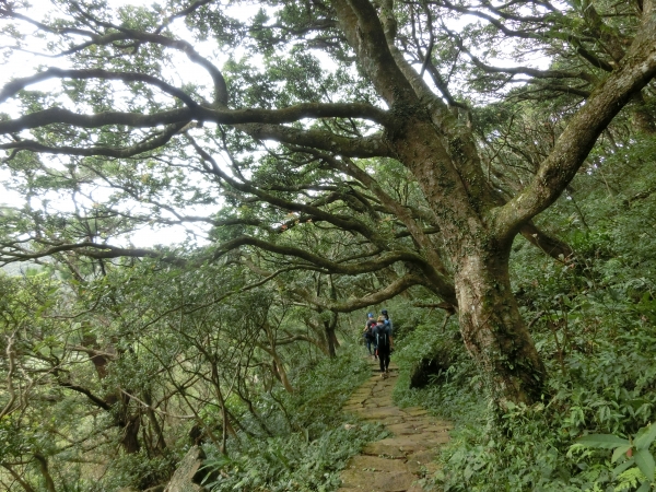面天山．向天山．向天池94299