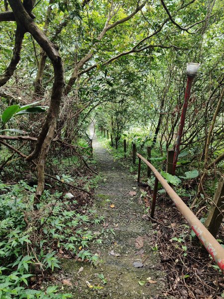 臺北大縱走第七段：世界山莊至飛龍步道政大後山2811681