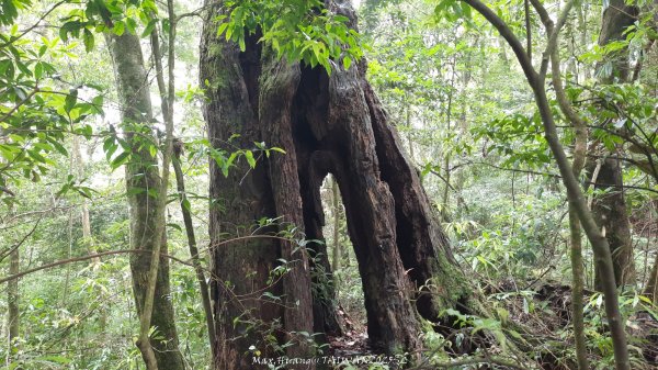 《雲林》望好望角｜石壁山嘉南雲峰步道(中側登山口）202506072805380