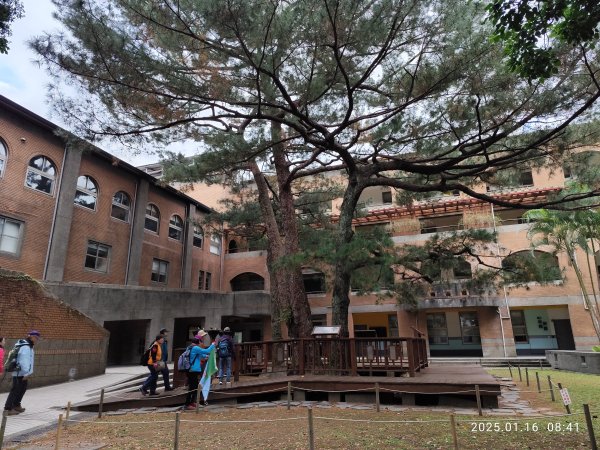 4-1 國立臺灣大學校園巡禮2691869