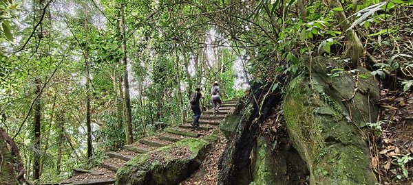 2025/07/27_梅后蔓瀑布+梅后蔓步道2846748