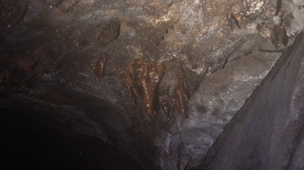 傳說中的「魔神仔洞」| 菁桐古道（汐止段＆平溪段）2721261