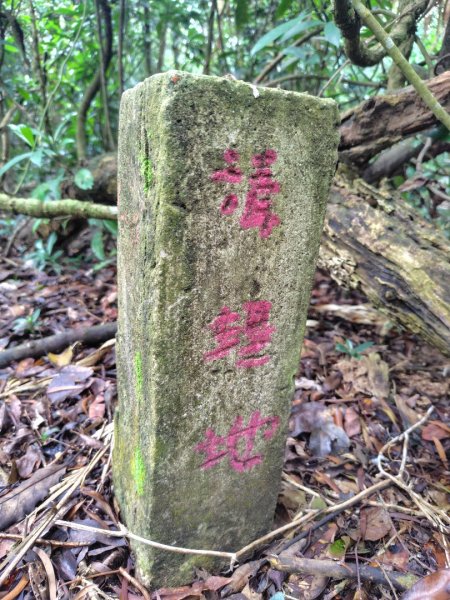 鳳鳴古道 鳳鳴山 南隘勇（南長城）古道 三湖山 八達嶺（龍骨）古道 綠色古道 延平古道2975286
