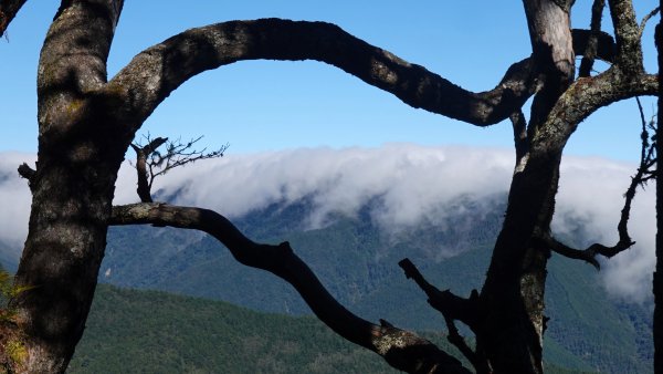 雪山黑森林直上甘木林山登雪主雪南過志佳陽下馬武霸兩日C型2758172