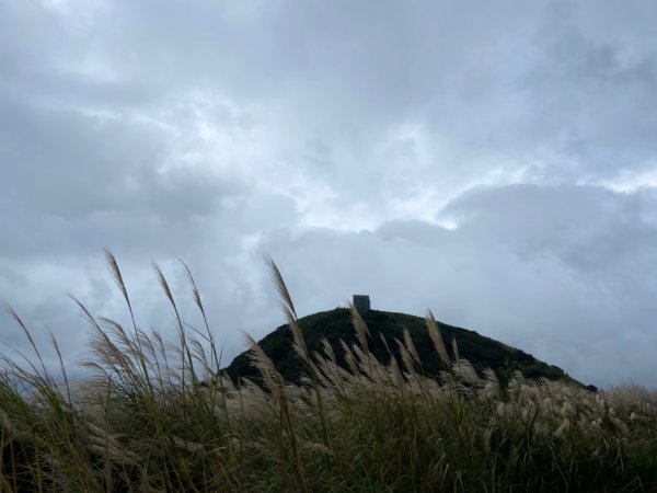 陽明山：面天山 - 向天山步道2441843