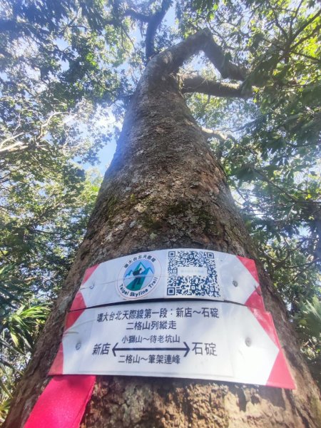 微笑山線筆架二格山系2860402