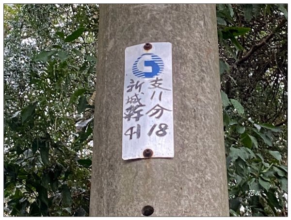 寶山迴龍步道、大統台山2705058