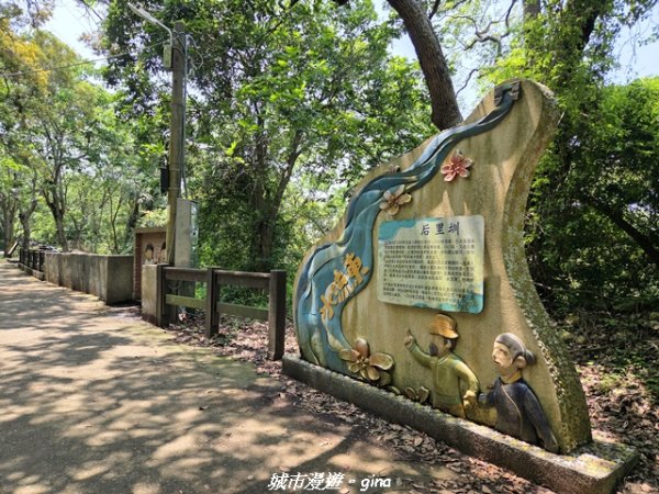【台中外埔】外埔水流東桐花步道3046221
