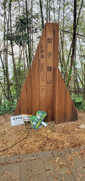 2024-05-18梨子腳山步道2507955