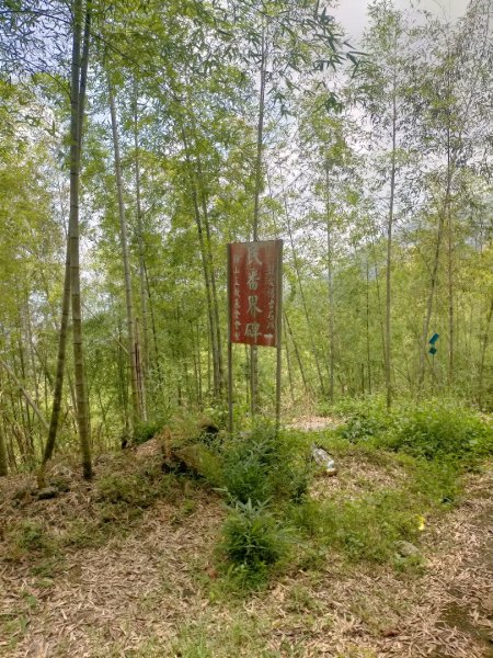 梅山半天雲之道暨古道汗路3060795