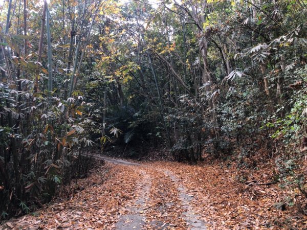 高雄市甲仙區小百岳69號白雲山（廓亭山）一等三角點及一等衛星控制點1984399