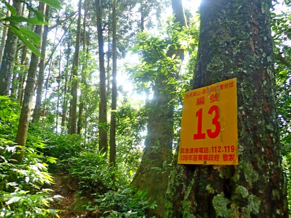 三角湖向天湖光天高山o走-專程來看海狸624668