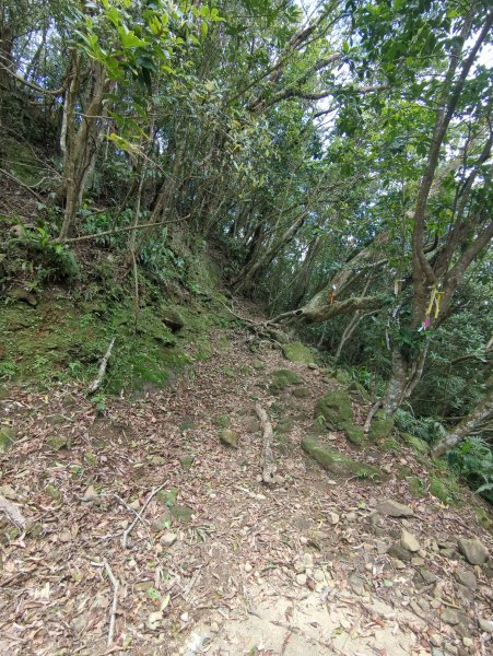 2026.03.14－微笑山線：【五分山系】3015446