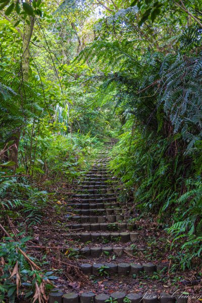 [新北]土庫岳更寮古道2575840