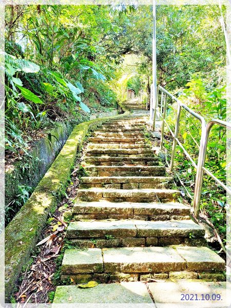 台北大縱走1495017