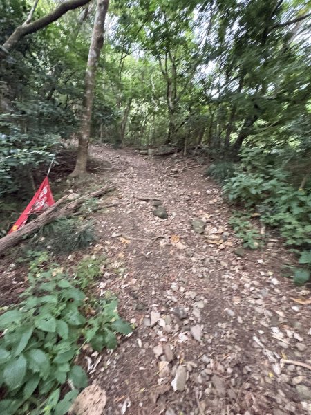 20251129女仍山步道2951775