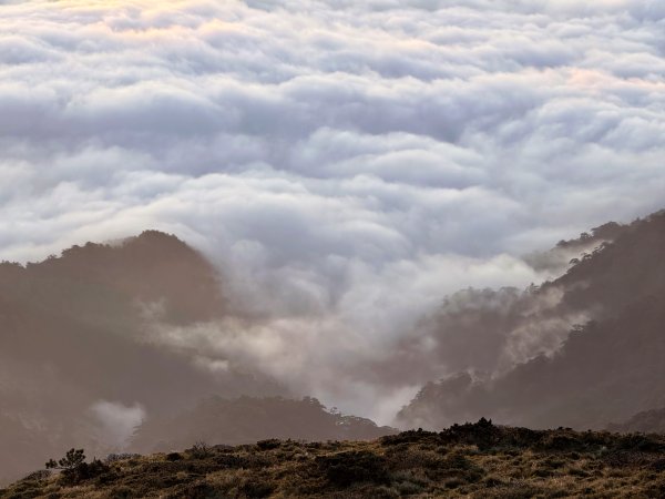 南一段 2025 / 04/02~04/062764409