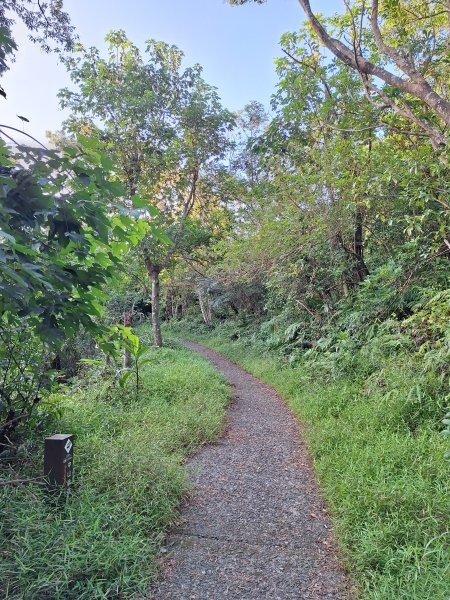 冬山梅花湖中山步道+大陂丘山202509292901661