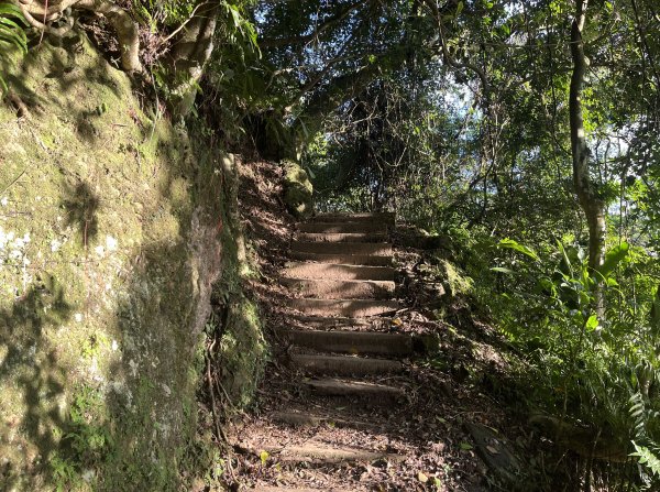 [山頂鳥40周年會員大縱走-08/15] 2024_0715 銀河洞越嶺登山步道2556759