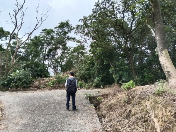 基隆市三層山+湳子大崙+淡基橫斷古道+面桶寮土地公2982267