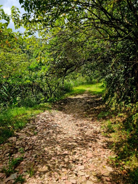 淡蘭中路第四段：威惠廟至灣潭古道登山口(崩山坑線)2882711