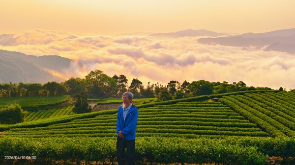 #坪林 #日出 #雲海 #茶園 4/103033093