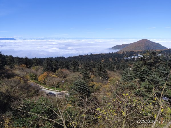 四川峨眉山、成都索菲斯錦苑賓館 (2-2)2940341