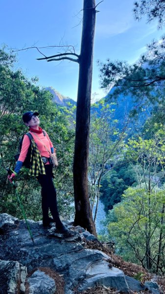 【谷關七雄】波津加(H1771.6m)肉腳配速成功2670578