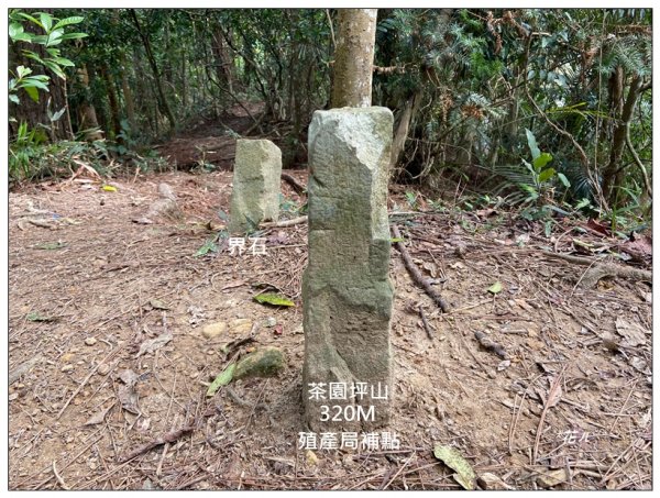 茶園坪山 O型路線2750575