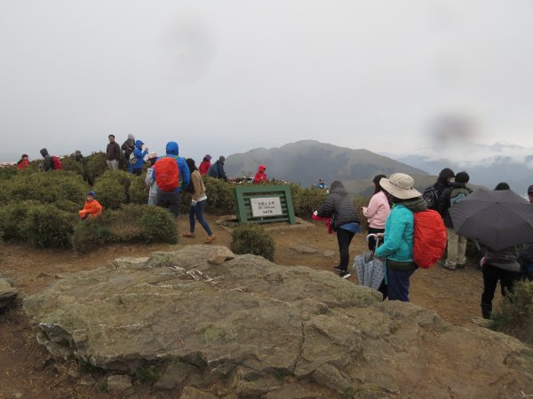 《南投》愛上山｜合歡山主峰2016051412203