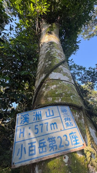 亂走3082238