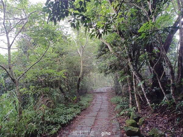 【新竹芎林】台灣百大必訪步道。 飛鳳山、觀日坪古道O繞2564348