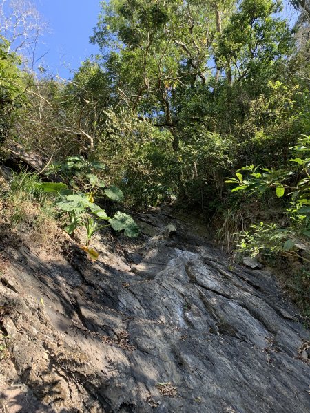 20250301屏東戶亞宇山主峰-基點峰2732979