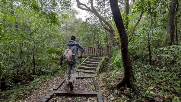 114.11.01旅聯網21週年活動之七星山-七星山東峰-七星公園-夢幻湖2928904