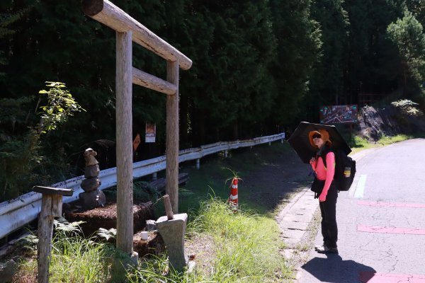 熊野参詣道小辺路：山と村をつなぐ古の道2923375