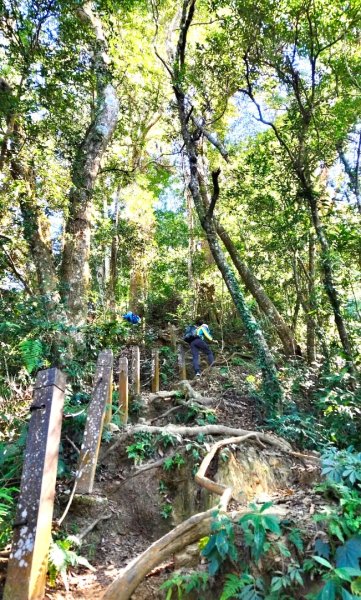 九穹神木 左訪嘉南雲峰 右到好望角看風景上石壁山(小百岳#55)2944836