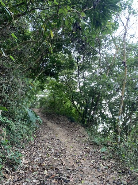 20250301屏東戶亞宇山主峰-基點峰2732968