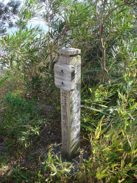 軍艦岩、丹鳳山親山步道1809245