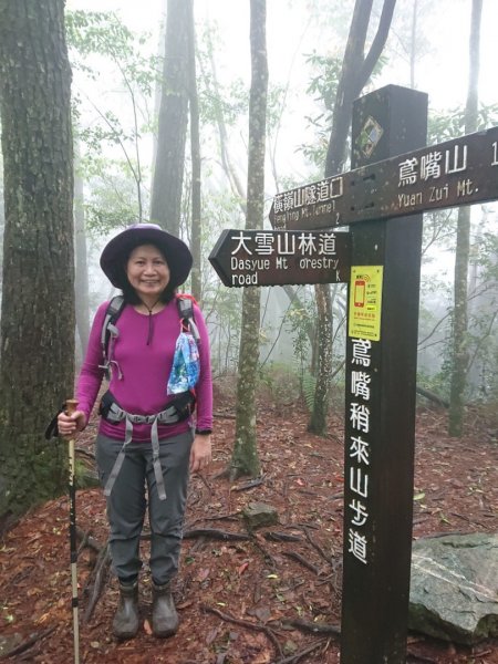 橫嶺山、鳶嘴山O 走1660956